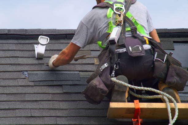 Best Affordable Roof Replacement  in Oak Hill, OH
