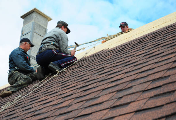Best New Roof Installation  in Oak Hill, OH